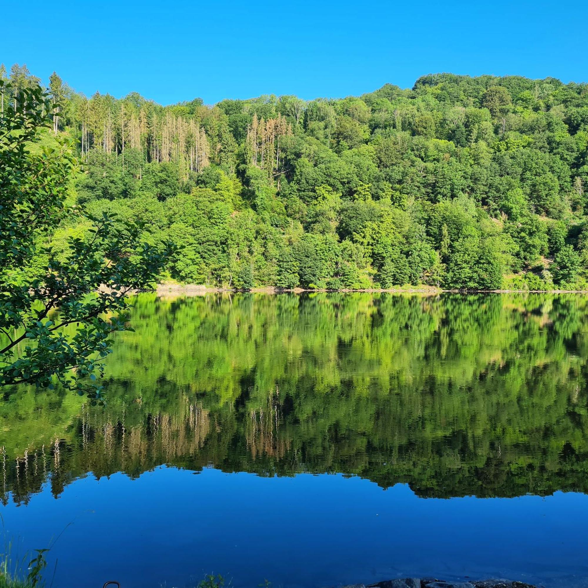 Ferienwohnung Am Rursee -Wohnung 2 ジンメラート 部屋 写真